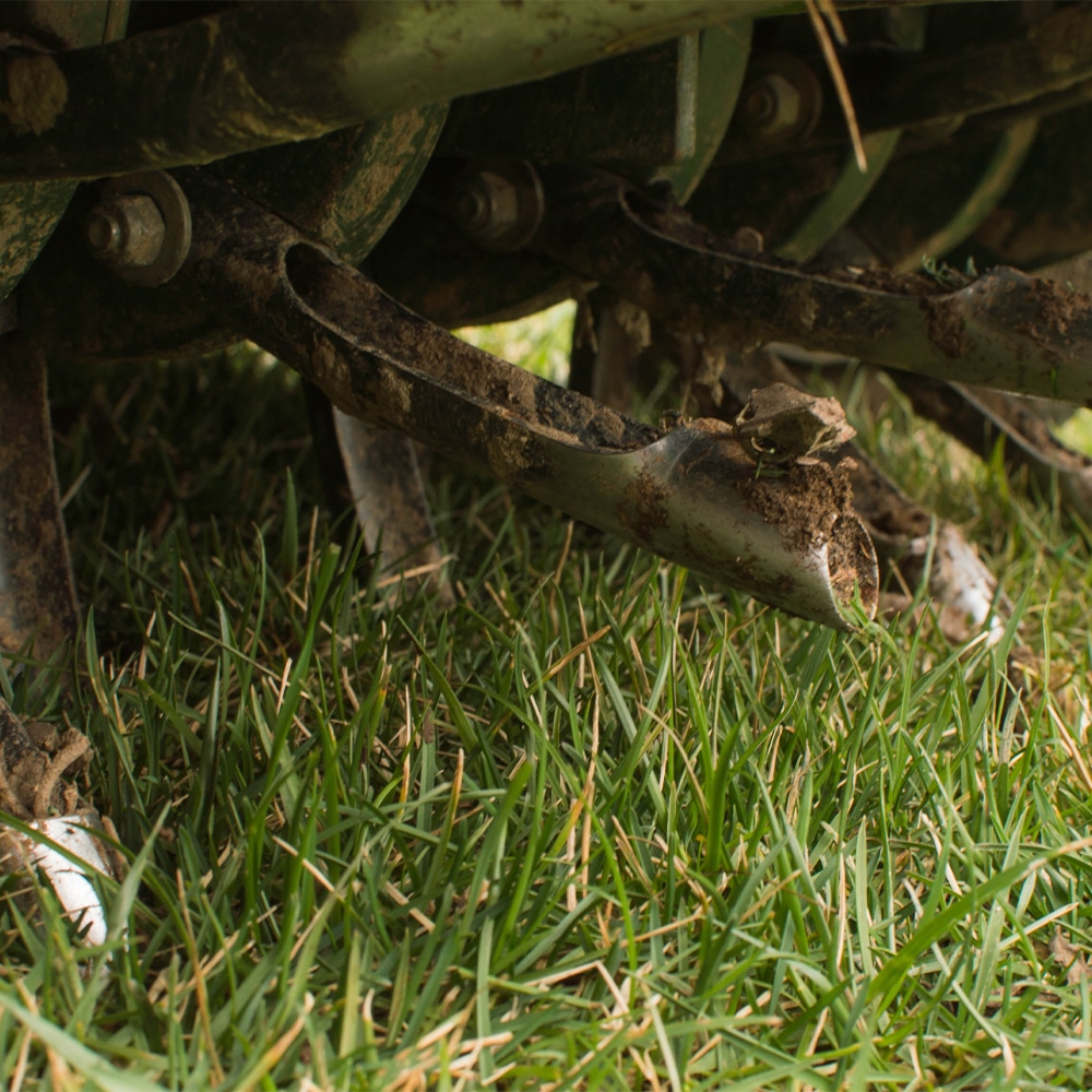 Aeration and overseeding services