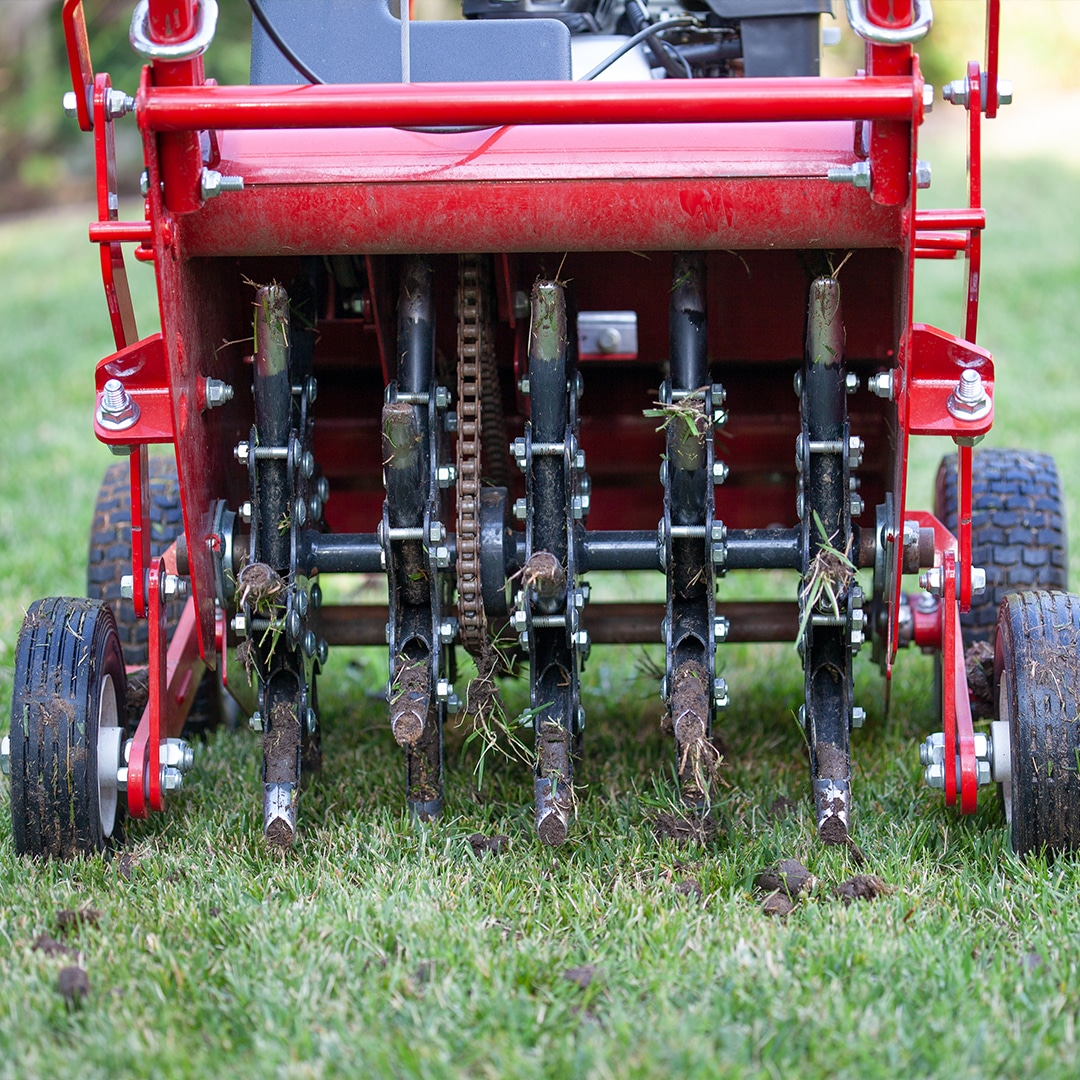 Professional aeration and overseeding services