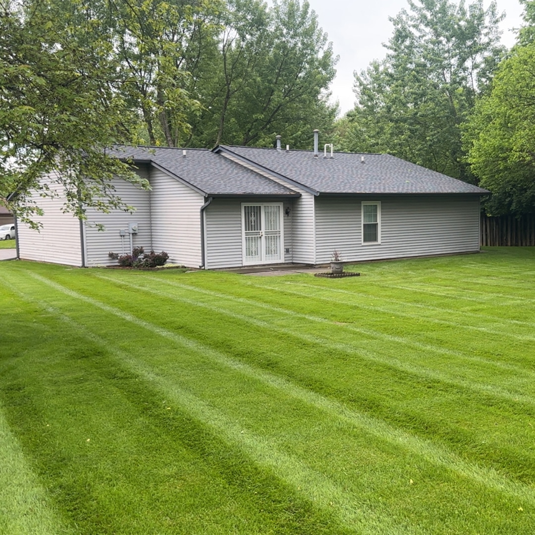 Professional lawn mowing services