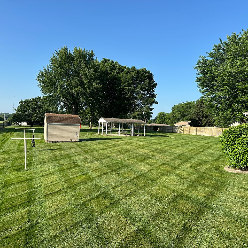 Professional lawn mowing